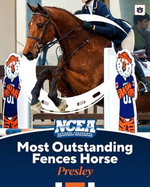 Image post by @auburnequestrian on Instagram