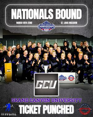 Image post by @lopeswhockey on Instagram