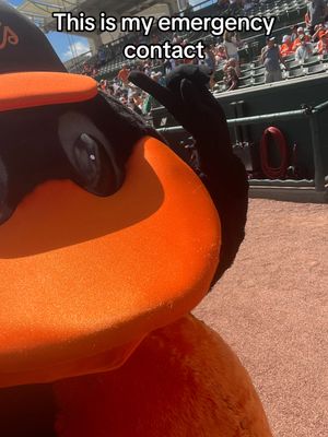Video post by @orioles on TikTok