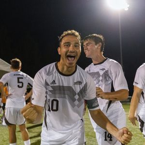 Image post by @gobonnies on Instagram