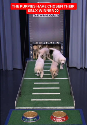 Video post by @nbcsports on TikTok