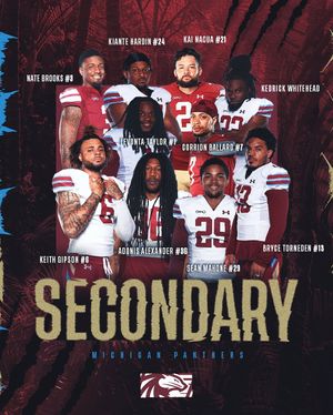 Image post by @uflpanthers on Instagram