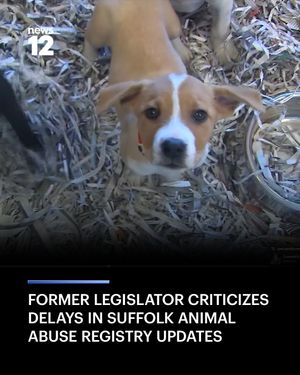 Image post by @news12li on Instagram