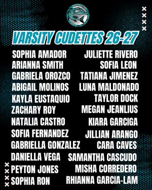 Image post by @varsitycudettes on Instagram