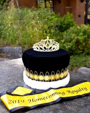 Image post by @mizzouhomecoming on Instagram