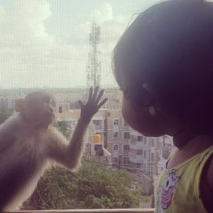 Image post by @montoo_bassi on Instagram