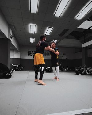 Image post by @thebogdanpascal on Instagram