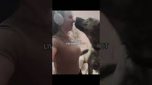 Video post by @chelsearhane on YouTube