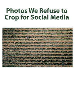 Image post by @farmbureau on Instagram