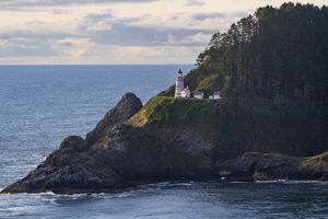 Image post by @Cschwartzy720 on Twitter