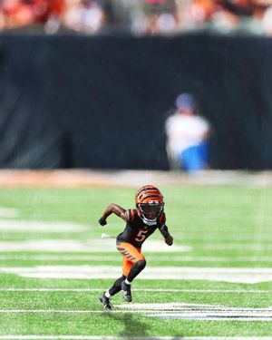 Image post by @SleeperBengals on Twitter