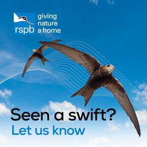 Image post by @rspb on Instagram