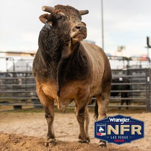 Image post by @prca_prorodeo on Instagram