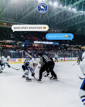 Image post by @whlwild_ on Instagram