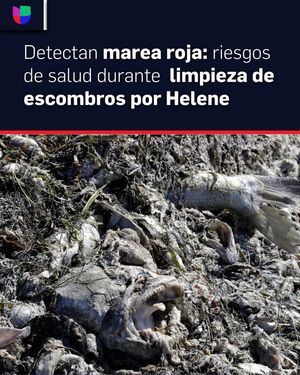 Image post by @UnivisionPuertoRico on Facebook