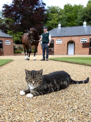 Image post by @juddmonte on Instagram