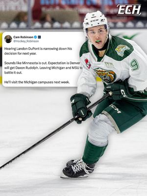 Image post by @everythingcollegehockey on Instagram