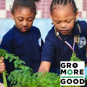 Image post by @kidsgardening on Instagram
