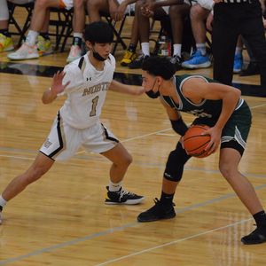 Image post by @laubhan.visuals on Instagram