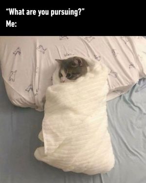Image post by @9gag on Instagram
