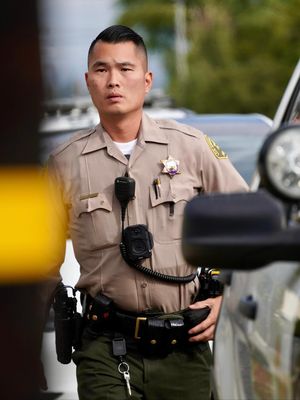 Image post by @temlasd on Instagram