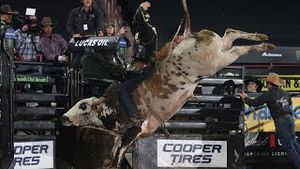 Video post by @pbr on YouTube