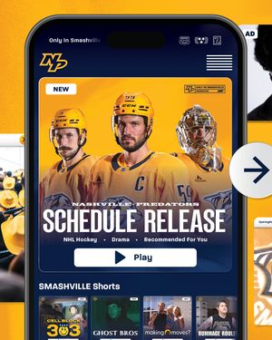 Image post by @predsnhl on Instagram