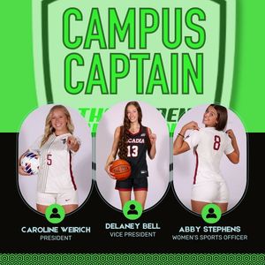 Image post by @tho_arcadia on Instagram