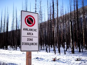 Image post by @WatertonLakesNP on Twitter