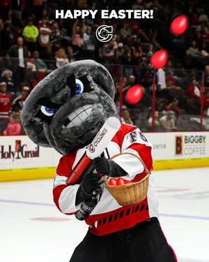 Image post by @cincycyclones on Instagram