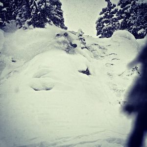 Image post by @skicrestedbutte on Instagram