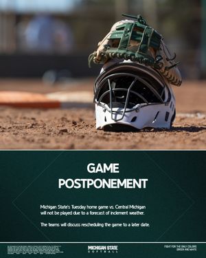 Image post by @msu_softball on Instagram