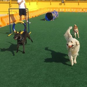 Image post by @mikethewhitegolden on Instagram