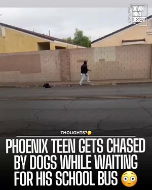 Image post by @downinnadesert on Instagram