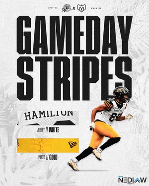 Image post by @hamiltontigercats on Instagram