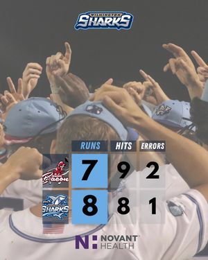 Image post by @ilmsharks on Instagram