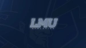 Image post by @lmurailsplitters on Instagram