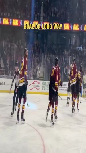 Video post by @chiwolves on TikTok