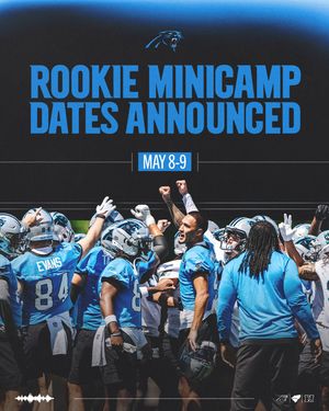 Image post by @panthers on Instagram