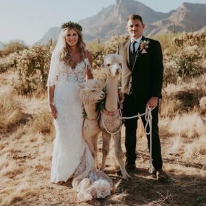 Image post by @maggiesotterodesigns on Instagram