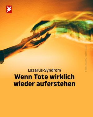Video post by @stern_de on TikTok
