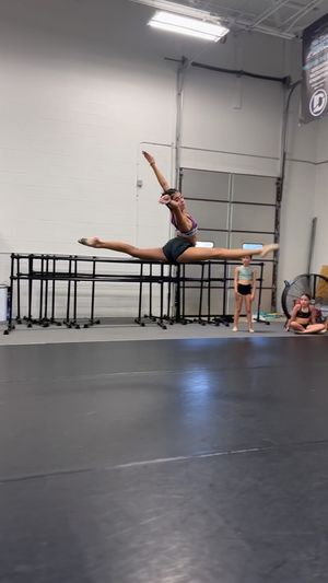 Video post by @elitedanceforcemi on Instagram