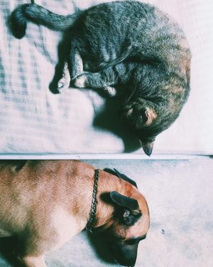 Image post by @kaylebhashbandara on Instagram