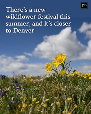 Image post by @denverpost on Instagram