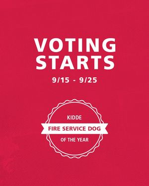 Image post by @kiddefiresafety on Instagram