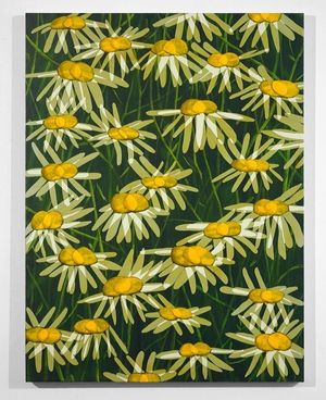 Image post by @artbasel on Instagram