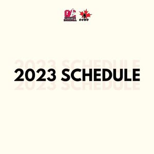 Image post by @YotesBaseball on Twitter/X