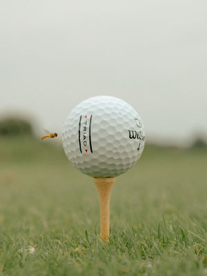 Image post by @wilsongolf on Instagram