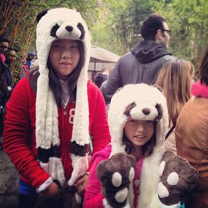Image post by @sandiegozoo on Instagram