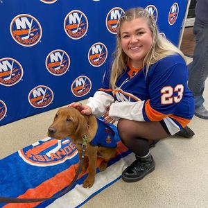 Image post by @nyislespup on Instagram
